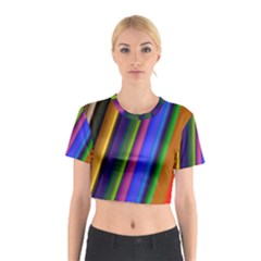 Strip Colorful Pipes Books Color Cotton Crop Top by Nexatart