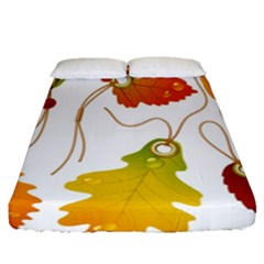 Vector Beautiful Maple Leaf Fitted Sheet (queen Size) by Nexatart