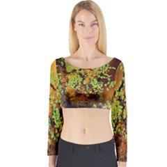 Backdrop Background Tree Abstract Long Sleeve Crop Top