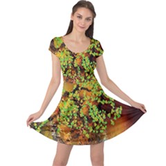 Backdrop Background Tree Abstract Cap Sleeve Dresses