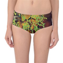 Backdrop Background Tree Abstract Mid-waist Bikini Bottoms by Nexatart