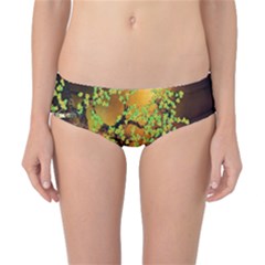 Backdrop Background Tree Abstract Classic Bikini Bottoms by Nexatart