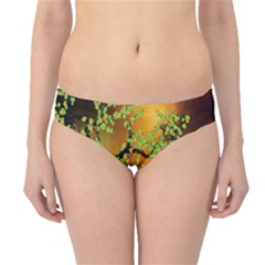 Backdrop Background Tree Abstract Hipster Bikini Bottoms by Nexatart