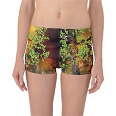 Backdrop Background Tree Abstract Reversible Bikini Bottoms by Nexatart