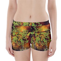 Backdrop Background Tree Abstract Boyleg Bikini Wrap Bottoms by Nexatart