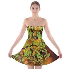 Backdrop Background Tree Abstract Strapless Bra Top Dress