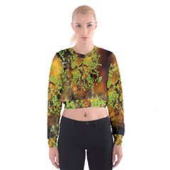 Backdrop Background Tree Abstract Women s Cropped Sweatshirt