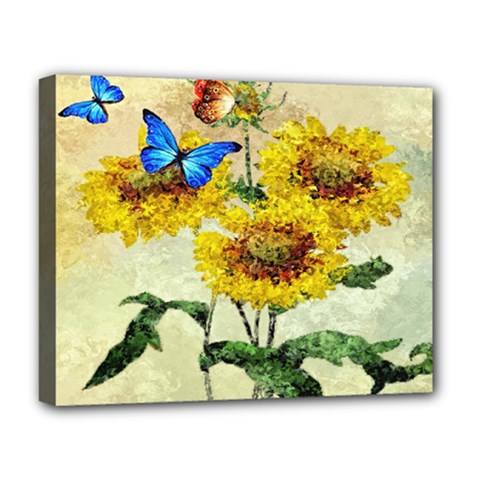 Backdrop Colorful Butterfly Deluxe Canvas 20  X 16   by Nexatart