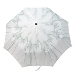 Background Modern Computer Design Folding Umbrellas by Nexatart