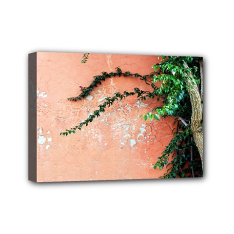 Background Stone Wall Pink Tree Mini Canvas 7  X 5  by Nexatart