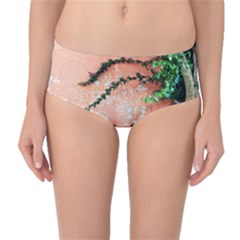 Background Stone Wall Pink Tree Mid-waist Bikini Bottoms by Nexatart