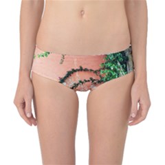 Background Stone Wall Pink Tree Classic Bikini Bottoms by Nexatart