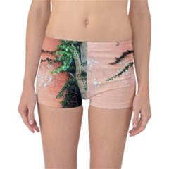 Background Stone Wall Pink Tree Reversible Bikini Bottoms by Nexatart