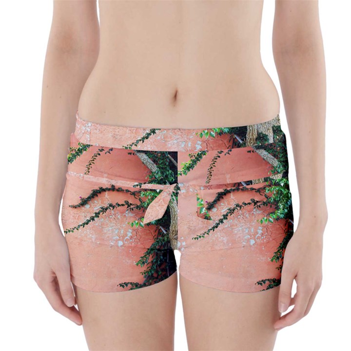 Background Stone Wall Pink Tree Boyleg Bikini Wrap Bottoms