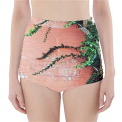 Background Stone Wall Pink Tree High-waisted Bikini Bottoms by Nexatart