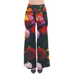 Beautifull Flowers Pants by Nexatart