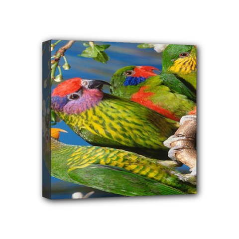 Beautifull Parrots Bird Mini Canvas 4  X 4  by Nexatart