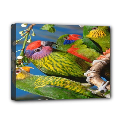 Beautifull Parrots Bird Deluxe Canvas 16  X 12   by Nexatart