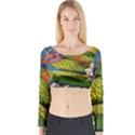 Beautifull Parrots Bird Long Sleeve Crop Top View1