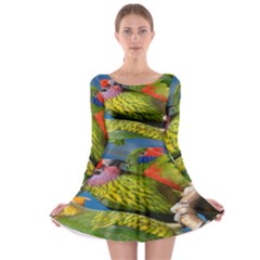 Beautifull Parrots Bird Long Sleeve Skater Dress by Nexatart