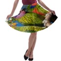 Beautifull Parrots Bird A-line Skater Skirt View1