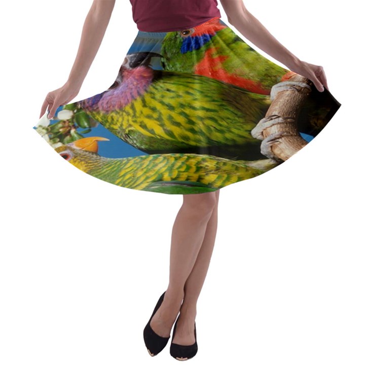 Beautifull Parrots Bird A-line Skater Skirt