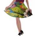 Beautifull Parrots Bird A-line Skater Skirt View2