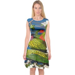 Beautifull Parrots Bird Capsleeve Midi Dress by Nexatart