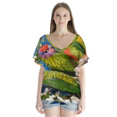 Beautifull Parrots Bird Flutter Sleeve Top by Nexatart