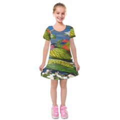 Beautifull Parrots Bird Kids  Short Sleeve Velvet Dress by Nexatart