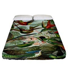 Beautiful Bird Fitted Sheet (california King Size)