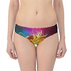 Broncefigur Golden Dragon Hipster Bikini Bottoms by Nexatart