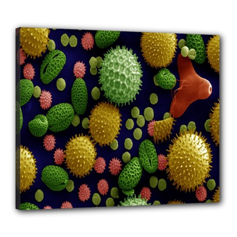 Colorized Pollen Macro View Canvas 24  X 20  by Nexatart