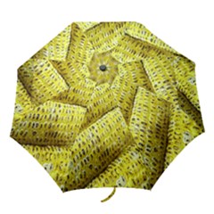 Corn Grilled Corn Cob Maize Cob Folding Umbrellas