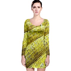 Corn Grilled Corn Cob Maize Cob Long Sleeve Velvet Bodycon Dress by Nexatart