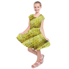 Corn Grilled Corn Cob Maize Cob Kids  Short Sleeve Dress