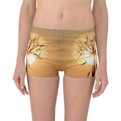 Dandelion Sun Dew Water Plants Boyleg Bikini Bottoms