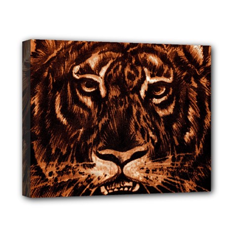 Eye Of The Tiger Canvas 10  X 8 