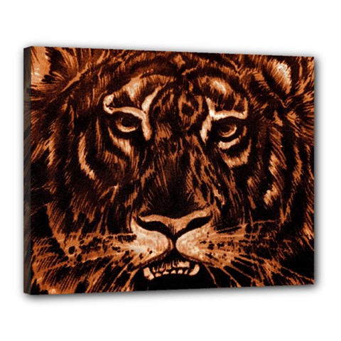 Eye Of The Tiger Canvas 20  X 16 