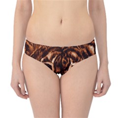 Eye Of The Tiger Hipster Bikini Bottoms