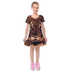 Eye Of The Tiger Kids  Short Sleeve Velvet Dress by Nexatart