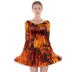 Fire Easter Easter Fire Flame Long Sleeve Skater Dress by Nexatart