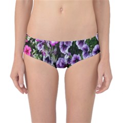 Flowers Blossom Bloom Plant Nature Classic Bikini Bottoms by Nexatart