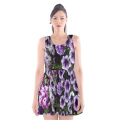 Flowers Blossom Bloom Plant Nature Scoop Neck Skater Dress by Nexatart