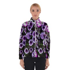 Flowers Blossom Bloom Plant Nature Winterwear