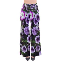 Flowers Blossom Bloom Plant Nature Pants by Nexatart