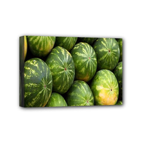 Food Summer Pattern Green Watermelon Mini Canvas 6  X 4 