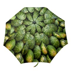 Food Summer Pattern Green Watermelon Folding Umbrellas