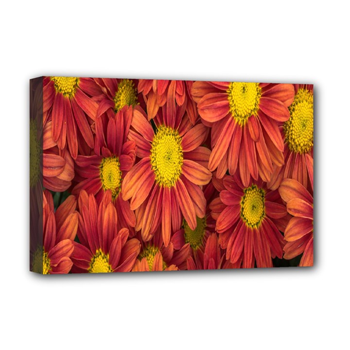 Flowers Nature Plants Autumn Affix Deluxe Canvas 18  x 12  