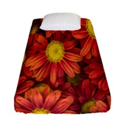 Flowers Nature Plants Autumn Affix Fitted Sheet (single Size)